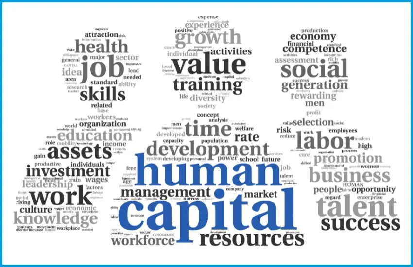 Financial Sector's Human Capital Conundrum