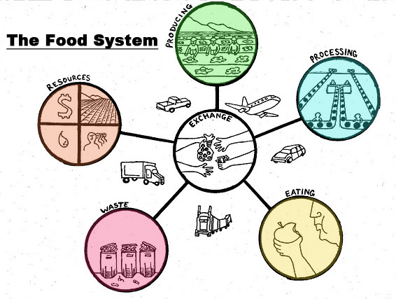 Food Systems Undergoing Radical Shifts
